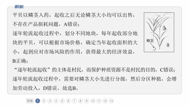 2025年高考地理二轮复习课件通用版专题5　主题10　产业发展_9.2025地理总复习_2025年新高考资料_二轮复习_2025年高考地理二轮复习课件全国通用（ppt+pdf资源）