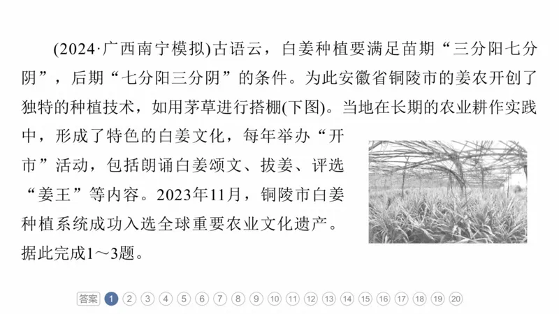 2025年高考地理二轮复习课件通用版专题5　主题10　产业发展_9.2025地理总复习_2025年新高考资料_二轮复习_2025年高考地理二轮复习课件全国通用（ppt+pdf资源）