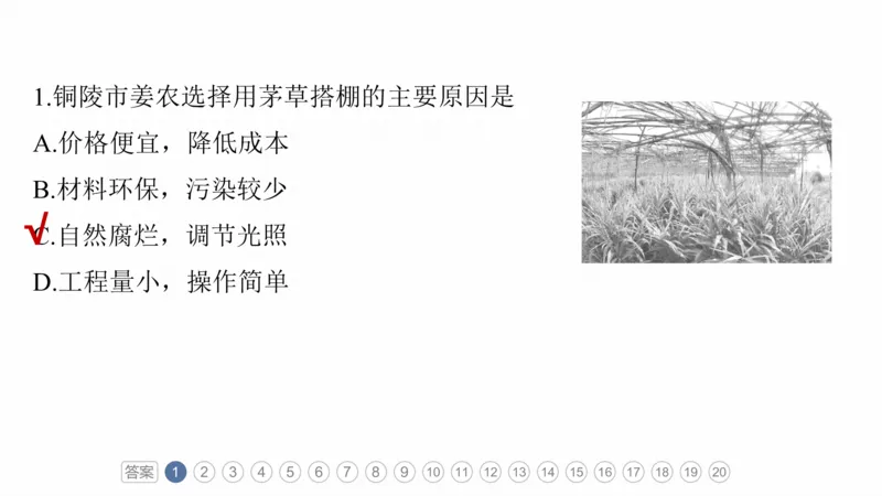 2025年高考地理二轮复习课件通用版专题5　主题10　产业发展_9.2025地理总复习_2025年新高考资料_二轮复习_2025年高考地理二轮复习课件全国通用（ppt+pdf资源）