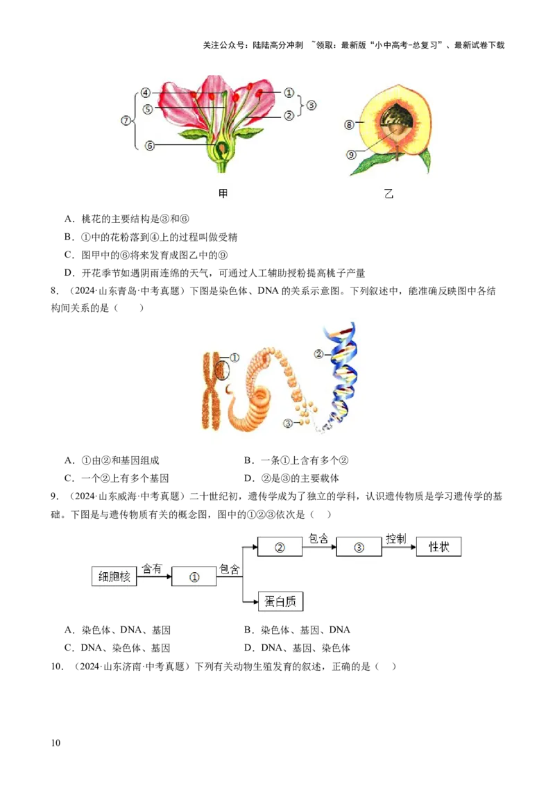 题型01读图理解（讲练）（原卷版）_02中考总复习（2026版更新中）_08-生物-中考总复习_2025中考复习资料_2025中考二轮课件ppt+讲义+练习生物_讲义+练习