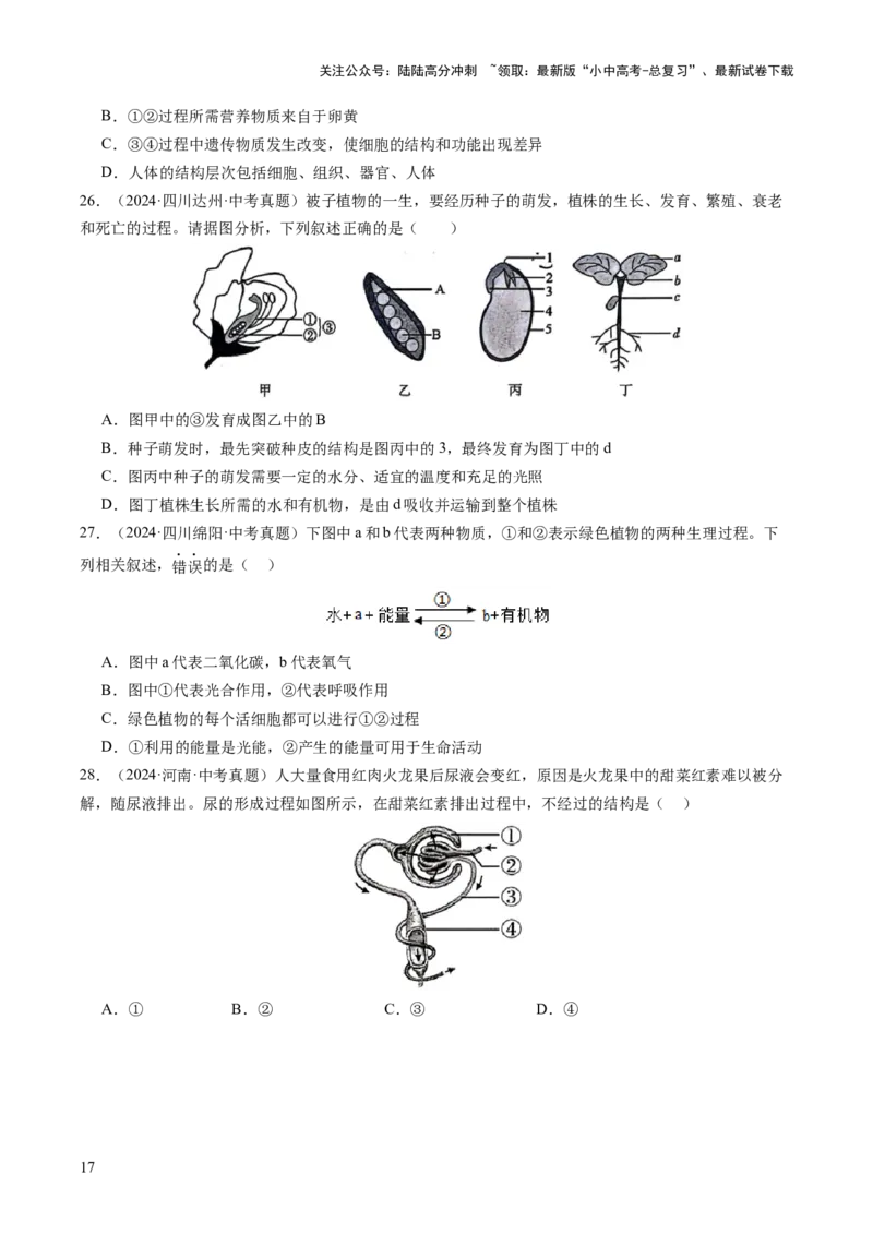 题型01读图理解（讲练）（原卷版）_02中考总复习（2026版更新中）_08-生物-中考总复习_2025中考复习资料_2025中考二轮课件ppt+讲义+练习生物_讲义+练习