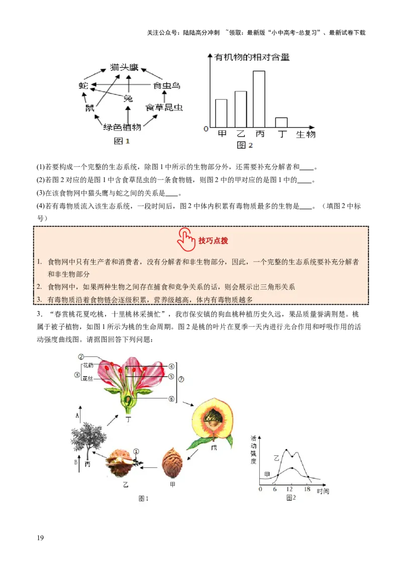 题型01读图理解（讲练）（原卷版）_02中考总复习（2026版更新中）_08-生物-中考总复习_2025中考复习资料_2025中考二轮课件ppt+讲义+练习生物_讲义+练习