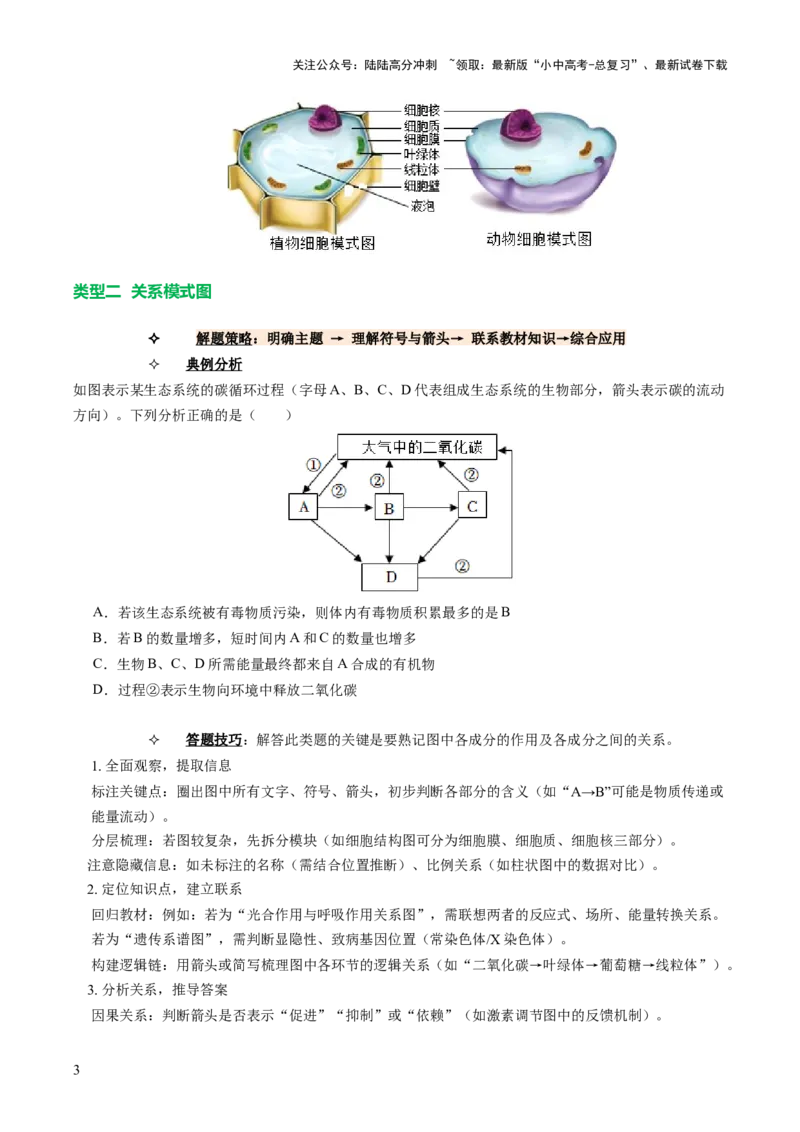 题型01读图理解（讲练）（原卷版）_02中考总复习（2026版更新中）_08-生物-中考总复习_2025中考复习资料_2025中考二轮课件ppt+讲义+练习生物_讲义+练习