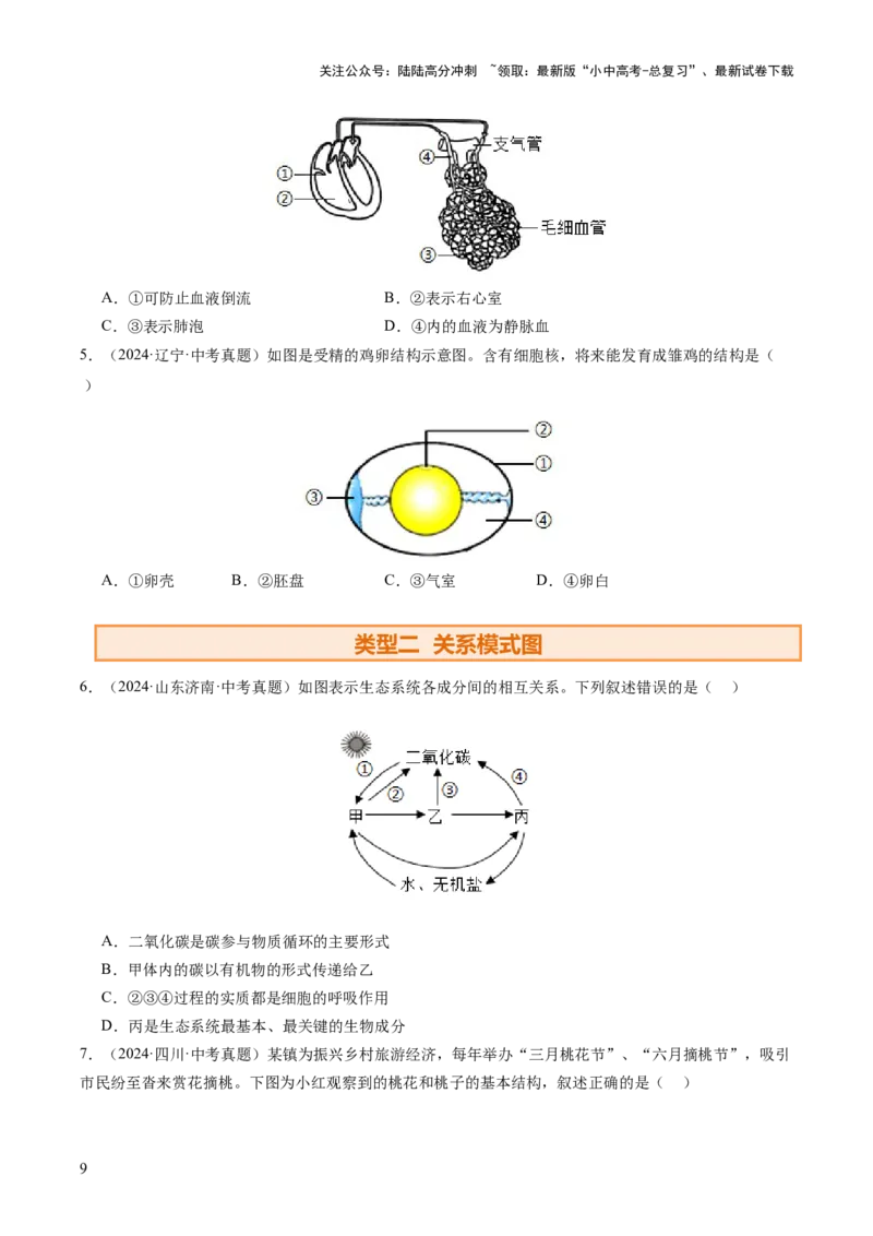 题型01读图理解（讲练）（原卷版）_02中考总复习（2026版更新中）_08-生物-中考总复习_2025中考复习资料_2025中考二轮课件ppt+讲义+练习生物_讲义+练习