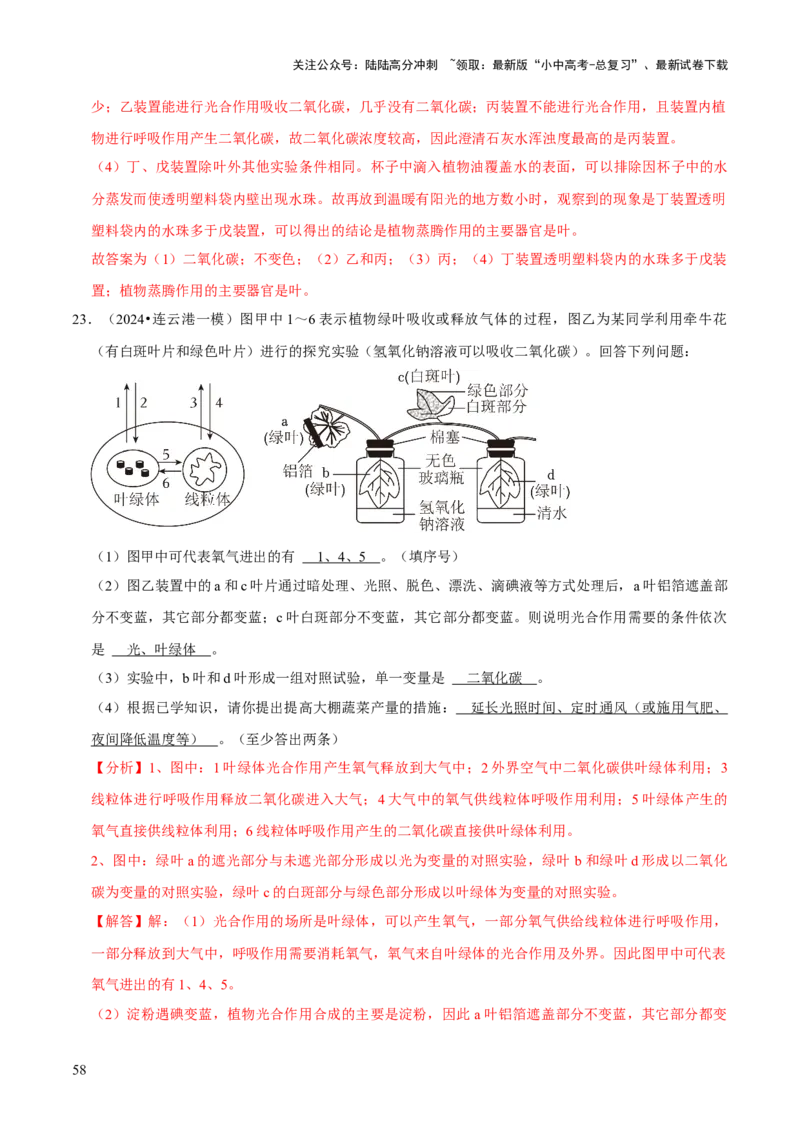 题型突破五实验探究题（解析版）_02中考总复习（2026版更新中）_08-生物-中考总复习_2024年中考复习资料_三轮复习_查漏补缺2024年中考生物复习冲刺过关（全国通用）_查补能力&middot;提升练