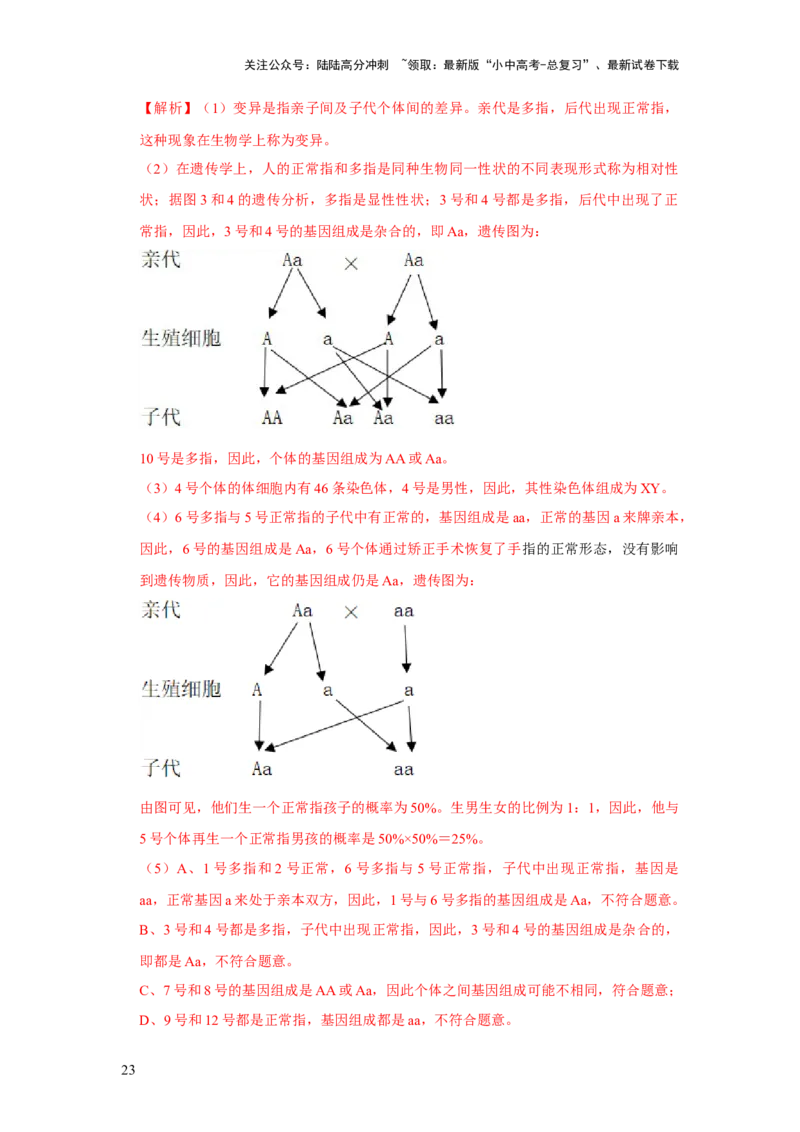 题型04图表分析（解析版）_02中考总复习（2026版更新中）_08-生物-中考总复习_2024年中考复习资料_专项复习_备战2024年中考生物真题题源解密