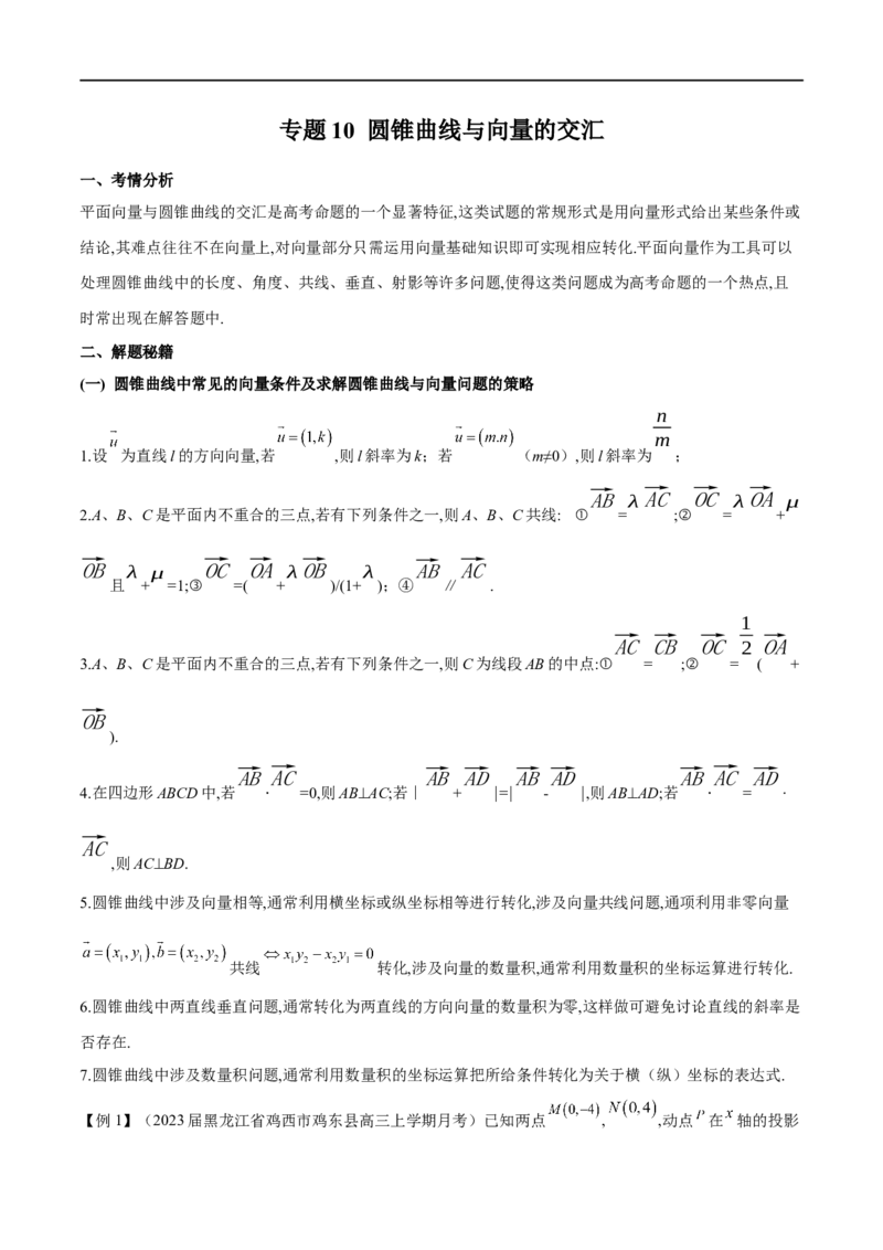 专题10圆锥曲线与向量的交汇（解析版）_2.2025数学总复习_2023年新高考资料_专项复习_2023年高考数学大题系列