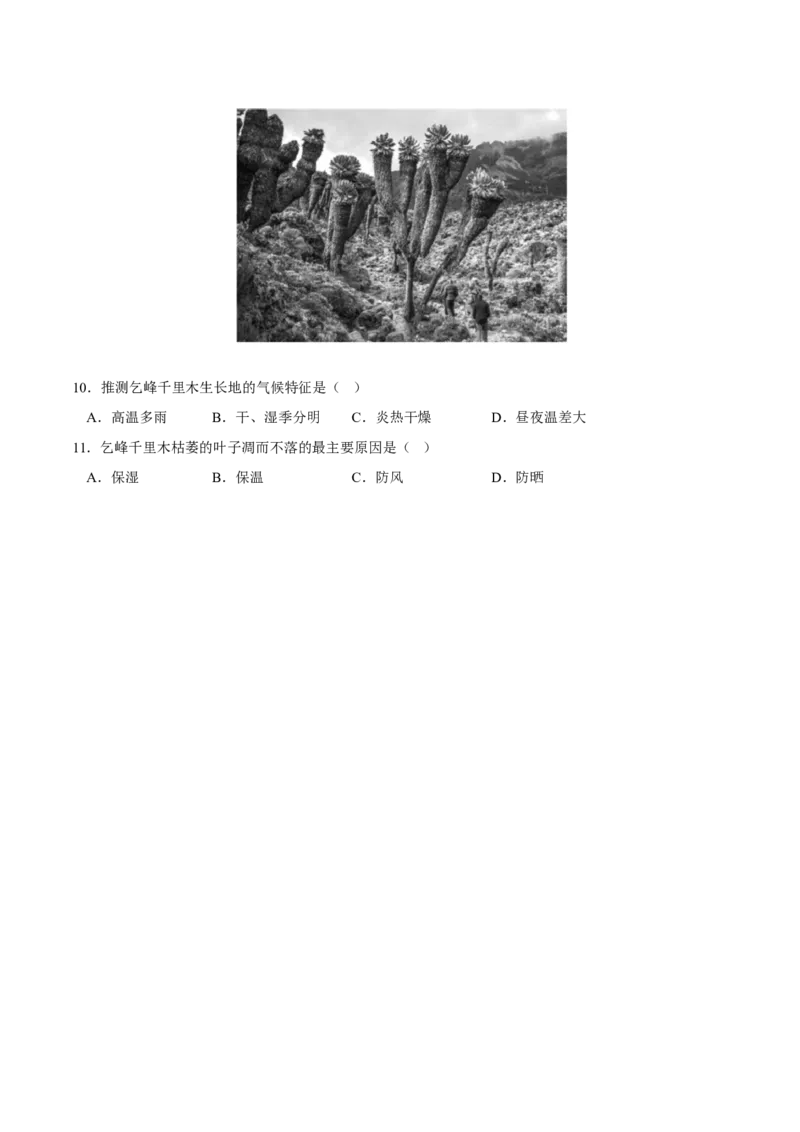 植被-2023年高三地理二轮小专题练习（新课标）（原卷版)_9.2025地理总复习_2023年新高考复习资料_二轮复习_寒假小练2023年高三地理二轮小专题练习（新课标）291470456