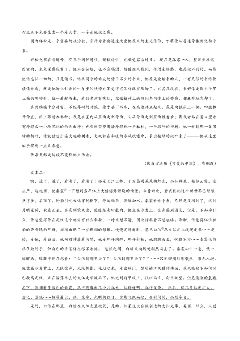 专题09读懂小说的环境（练习）-2024年高考语文二轮复习讲练测（新教材新高考）(解析版)(1)_1.2025语文总复习_2024年新高考资料_2.2024二轮复习