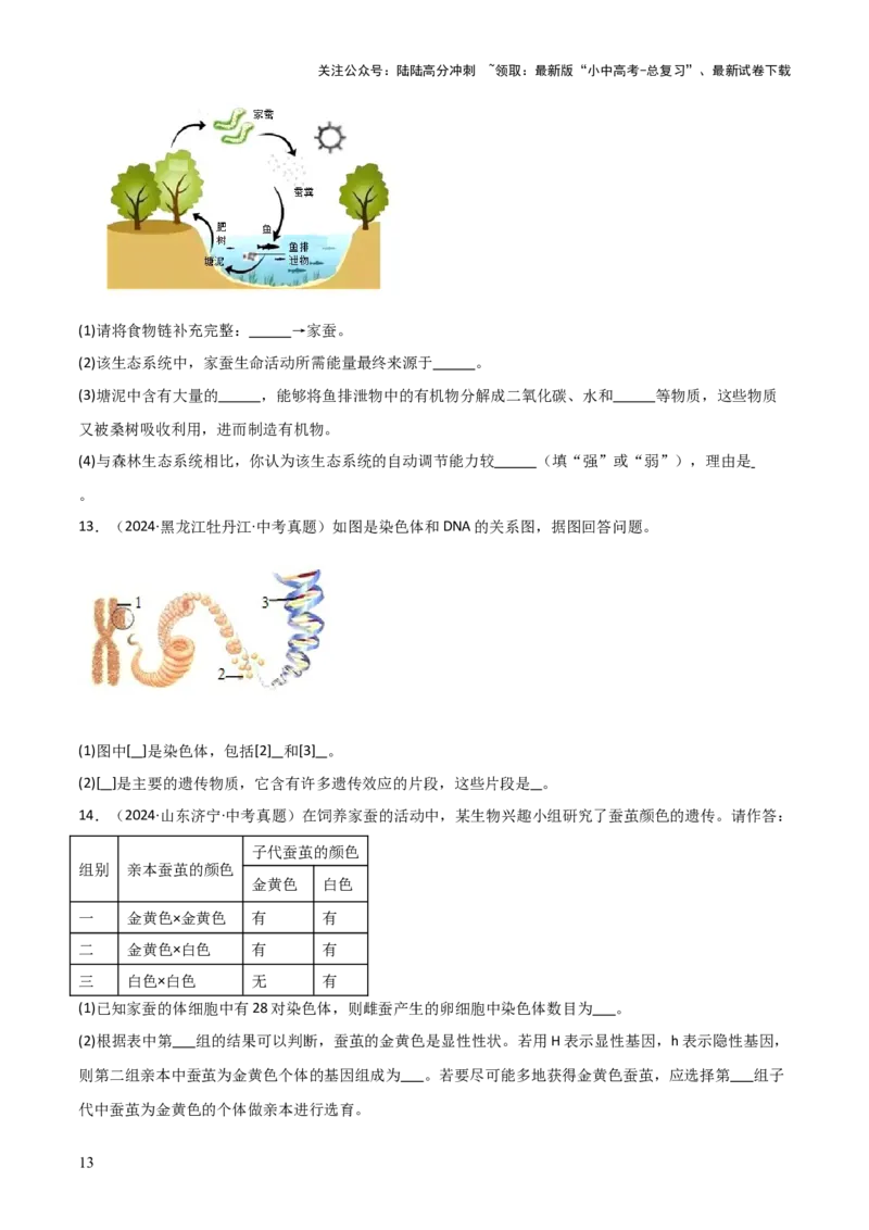 题型02生物图表解题技巧（原卷版）_02中考总复习（2026版更新中）_08-生物-中考总复习_2025中考复习资料_2025年中考生物答题方法模板_题型02生物图表解题技巧-2025年中考生物答题方法模板