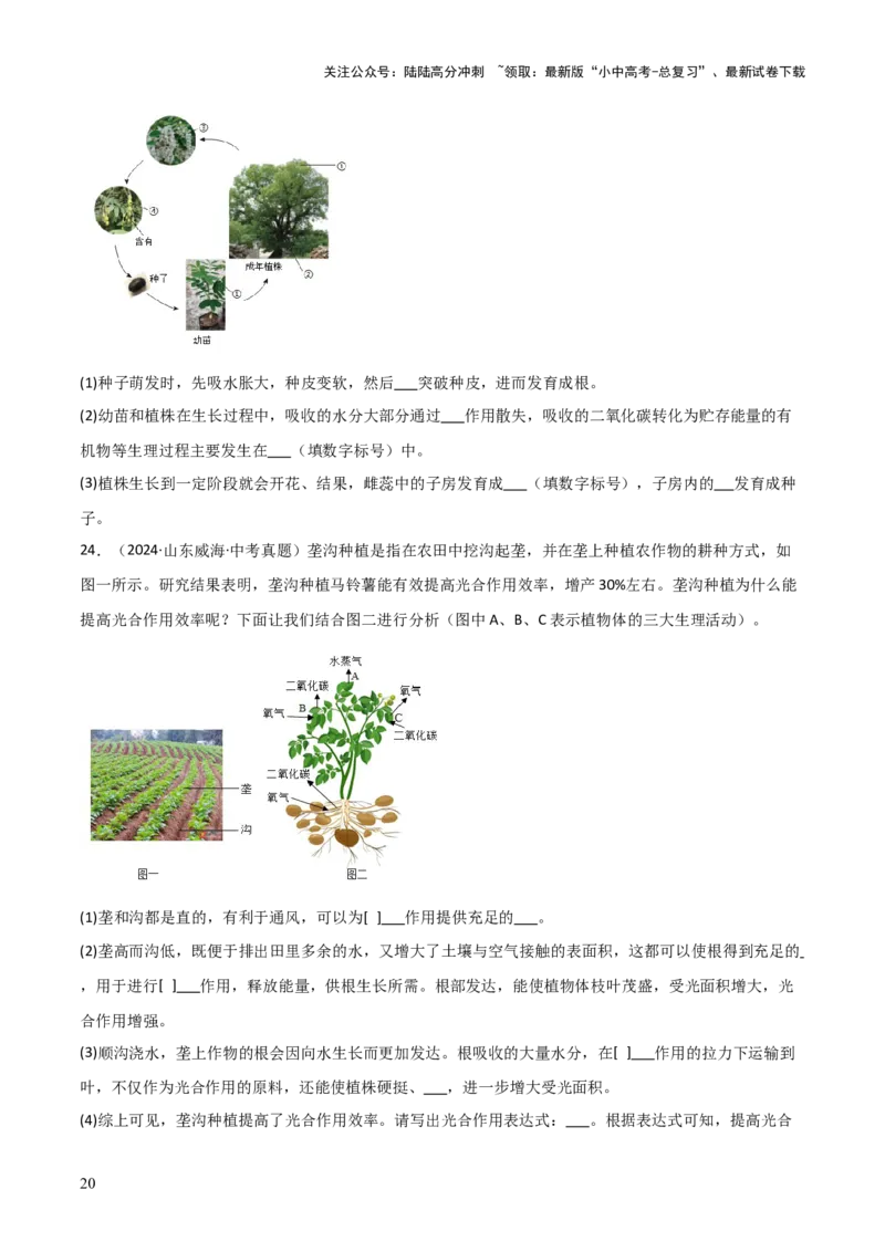 题型02生物图表解题技巧（原卷版）_02中考总复习（2026版更新中）_08-生物-中考总复习_2025中考复习资料_2025年中考生物答题方法模板_题型02生物图表解题技巧-2025年中考生物答题方法模板