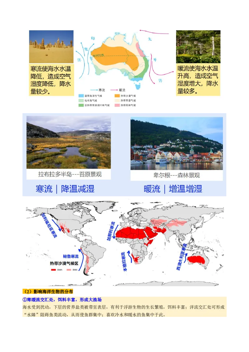 第11讲海水性质和海水运动（讲义）（解析版）_9.2025地理总复习_2025年新高考资料_一轮复习_2025年高考地理一轮复习讲练测（新教材新高考）