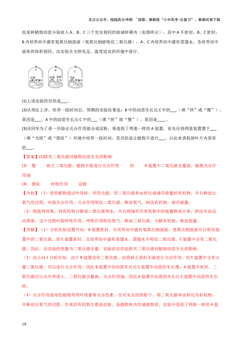 题型04实验探究题解题技巧（解析版）_02中考总复习（2026版更新中）_08-生物-中考总复习_2025中考复习资料_2025年中考生物答题方法模板