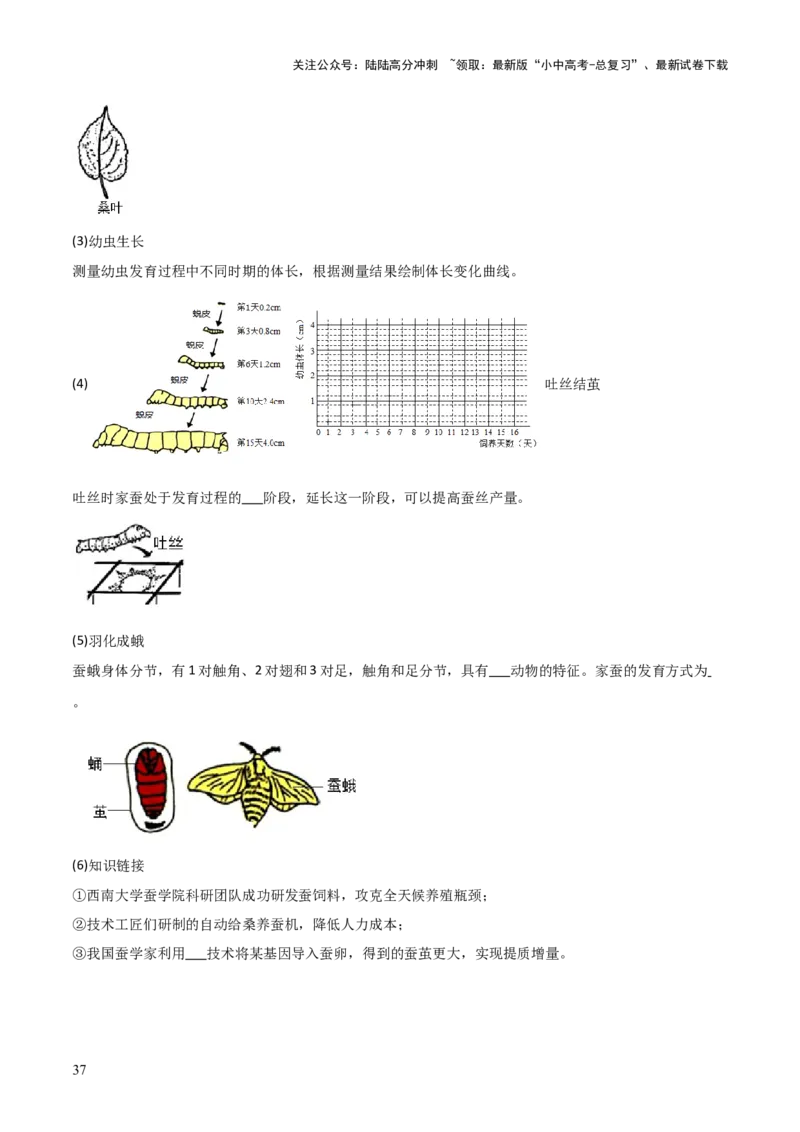 题型04实验探究题解题技巧（解析版）_02中考总复习（2026版更新中）_08-生物-中考总复习_2025中考复习资料_2025年中考生物答题方法模板