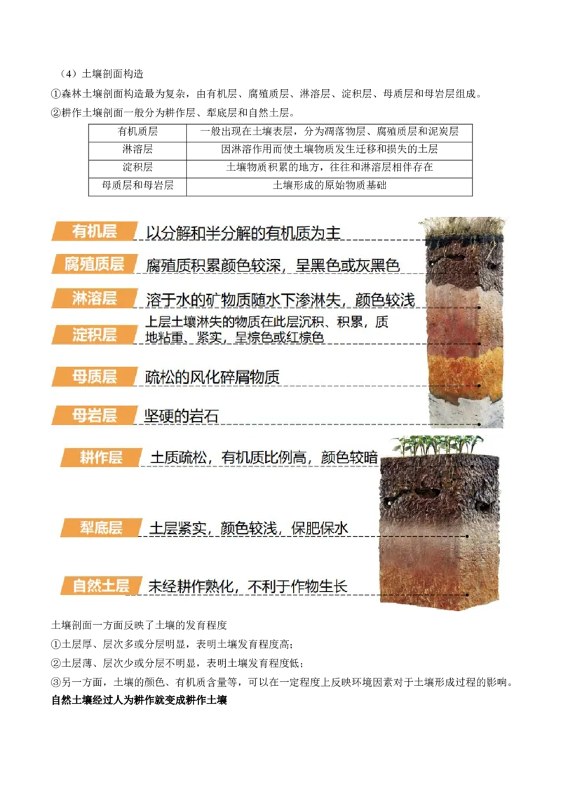 第16讲植被和土壤（讲义）（解析版）_9.2025地理总复习_2024年新高考资料_1.2024一轮复习_2024年高考地理一轮复习讲练测（新教材新高考）