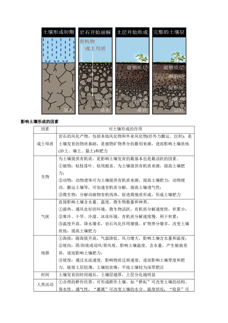 第16讲植被和土壤（讲义）（解析版）_9.2025地理总复习_2024年新高考资料_1.2024一轮复习_2024年高考地理一轮复习讲练测（新教材新高考）