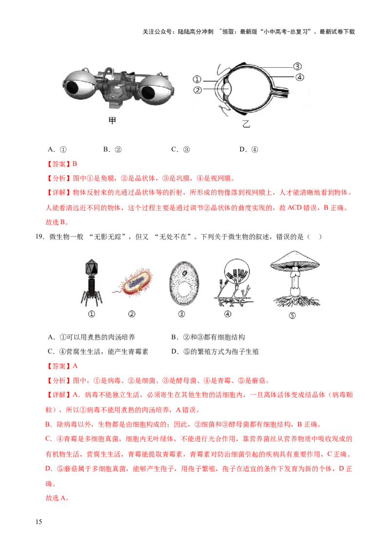 题型01读图理解（测试）（解析版）_02中考总复习（2026版更新中）_08-生物-中考总复习_2025中考复习资料_2025中考二轮课件ppt+讲义+练习生物_测试