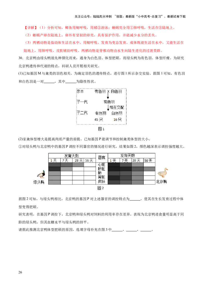 题型01读图理解（测试）（解析版）_02中考总复习（2026版更新中）_08-生物-中考总复习_2025中考复习资料_2025中考二轮课件ppt+讲义+练习生物_测试