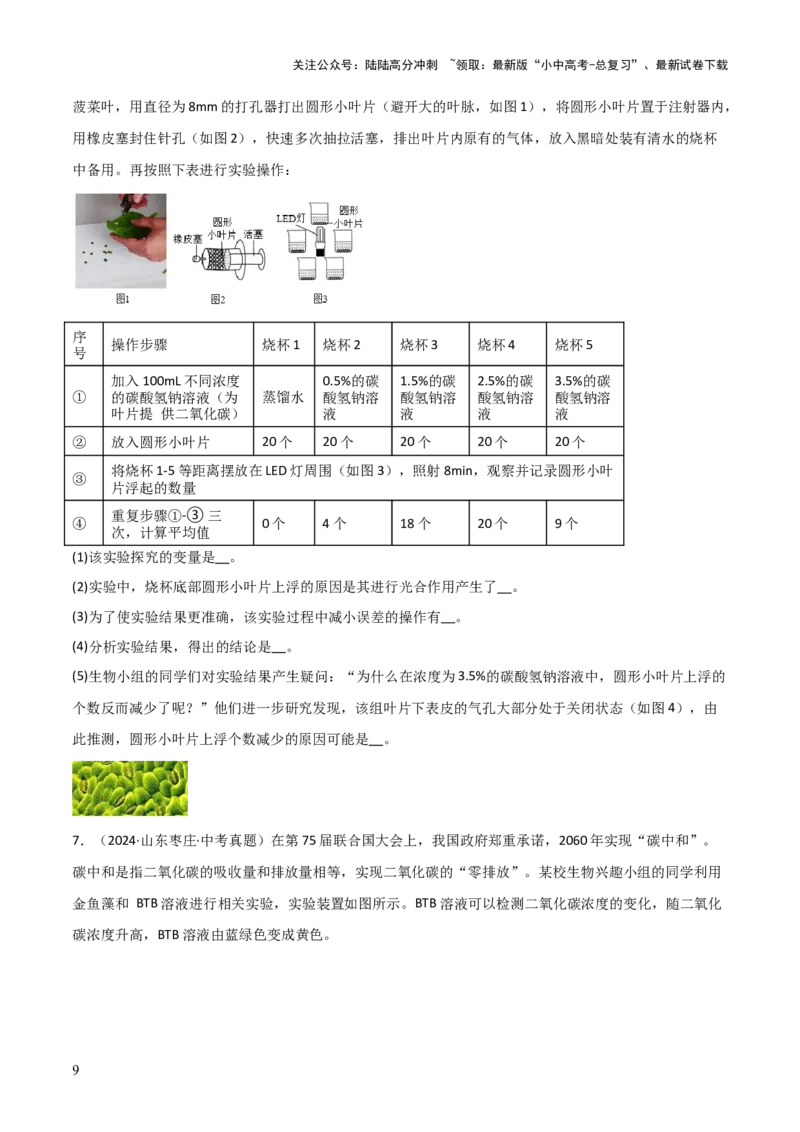 题型04实验探究题解题技巧（原卷版）_02中考总复习（2026版更新中）_08-生物-中考总复习_2025中考复习资料_2025年中考生物答题方法模板