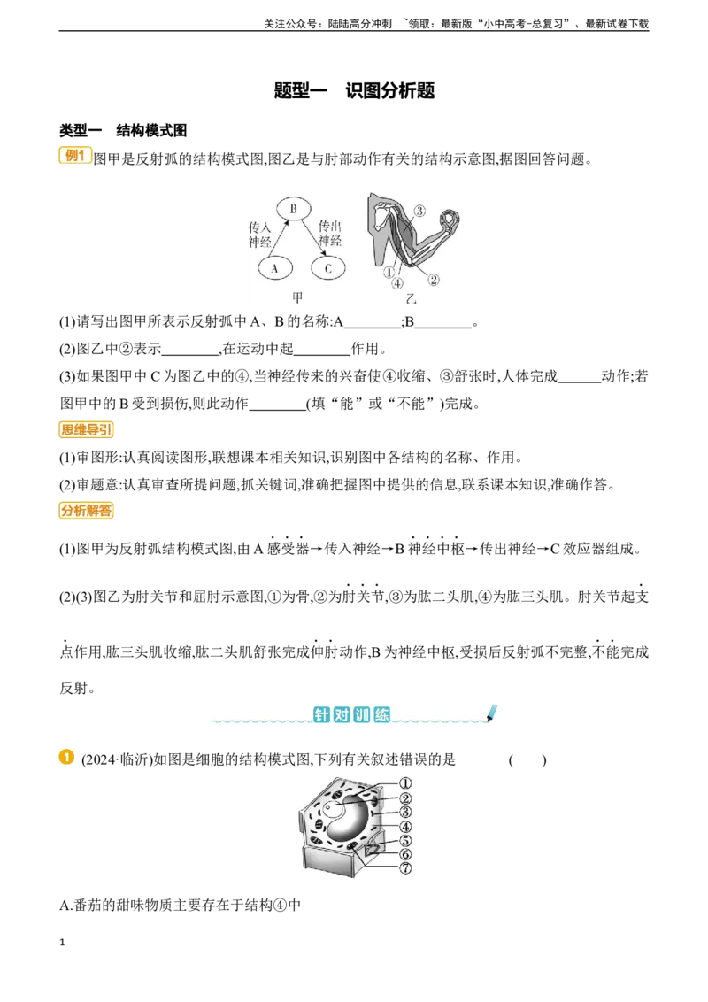 题型01　识图分析题2025年中考生物学专题复习（含答案）_02中考总复习（2026版更新中）_08-生物-中考总复习_2025中考复习资料_2025年中考生物学题型+专项专题复习(含答案)