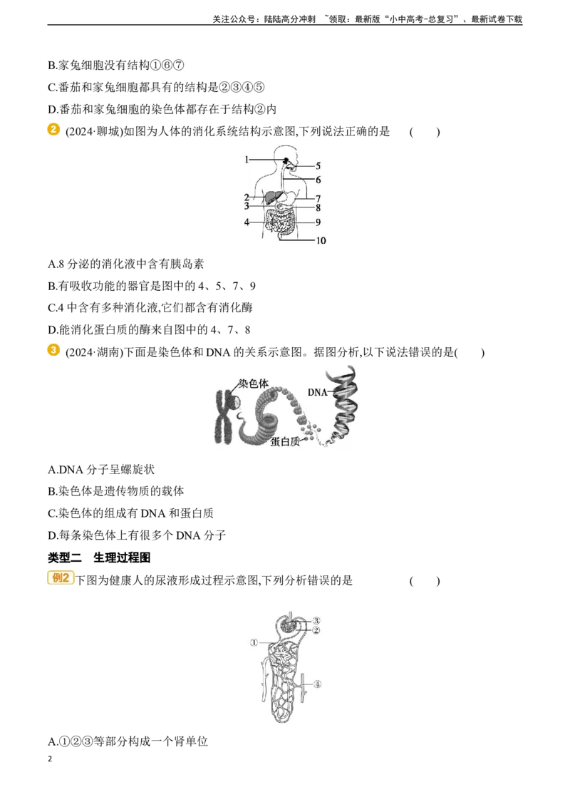 题型01　识图分析题2025年中考生物学专题复习（含答案）_02中考总复习（2026版更新中）_08-生物-中考总复习_2025中考复习资料_2025年中考生物学题型+专项专题复习(含答案)
