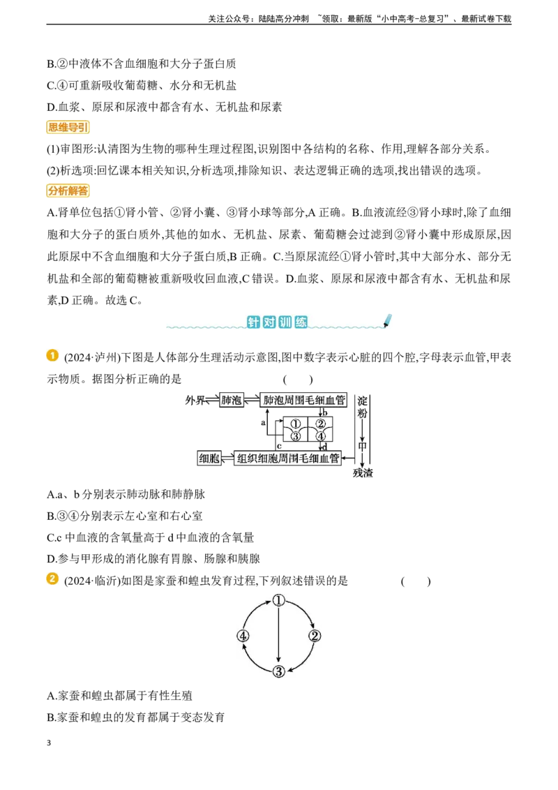 题型01　识图分析题2025年中考生物学专题复习（含答案）_02中考总复习（2026版更新中）_08-生物-中考总复习_2025中考复习资料_2025年中考生物学题型+专项专题复习(含答案)