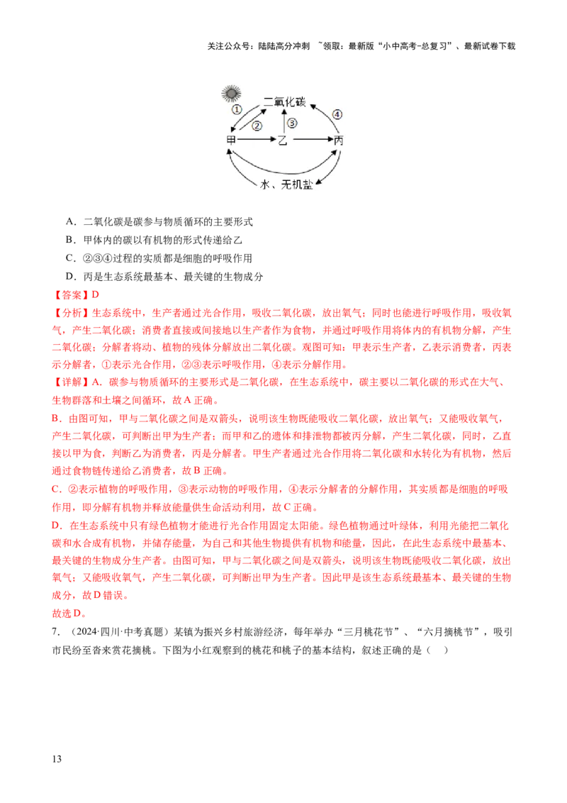 题型01读图理解（讲练）（解析版）_02中考总复习（2026版更新中）_08-生物-中考总复习_2025中考复习资料_2025中考二轮课件ppt+讲义+练习生物_讲义+练习