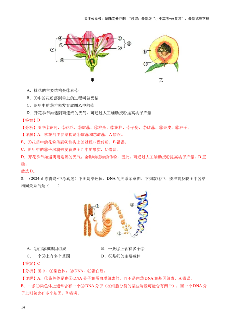 题型01读图理解（讲练）（解析版）_02中考总复习（2026版更新中）_08-生物-中考总复习_2025中考复习资料_2025中考二轮课件ppt+讲义+练习生物_讲义+练习