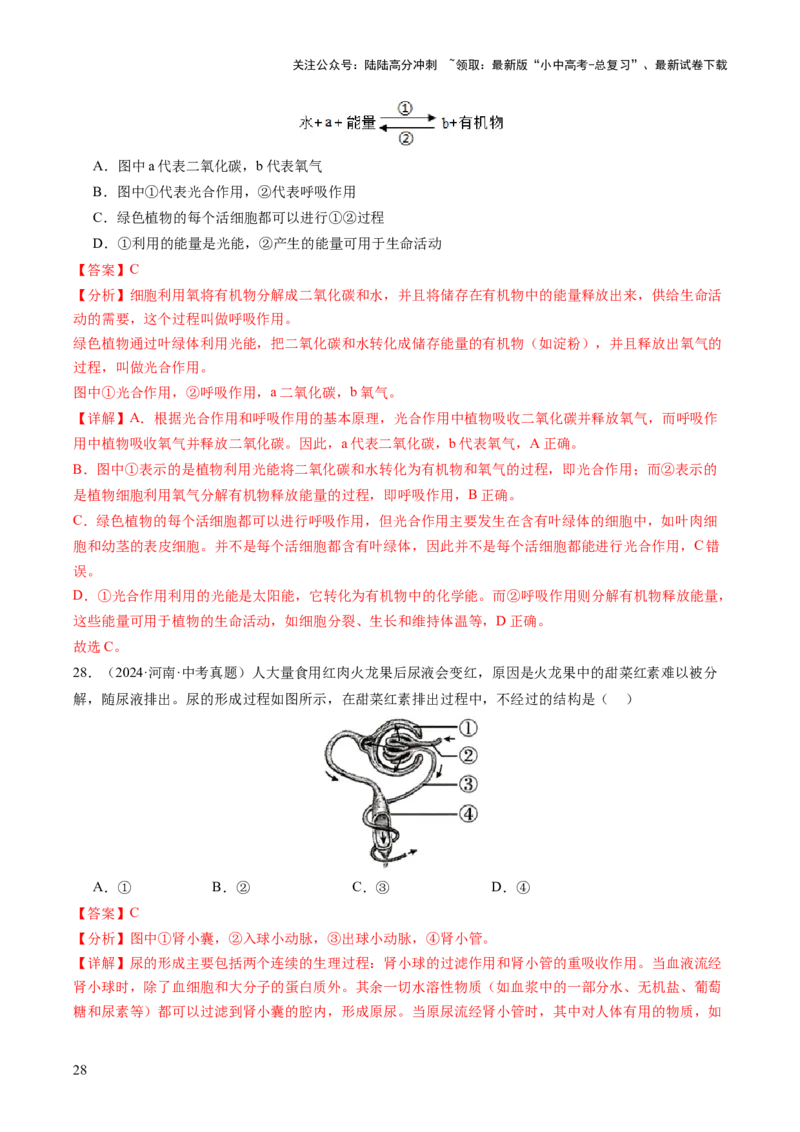 题型01读图理解（讲练）（解析版）_02中考总复习（2026版更新中）_08-生物-中考总复习_2025中考复习资料_2025中考二轮课件ppt+讲义+练习生物_讲义+练习