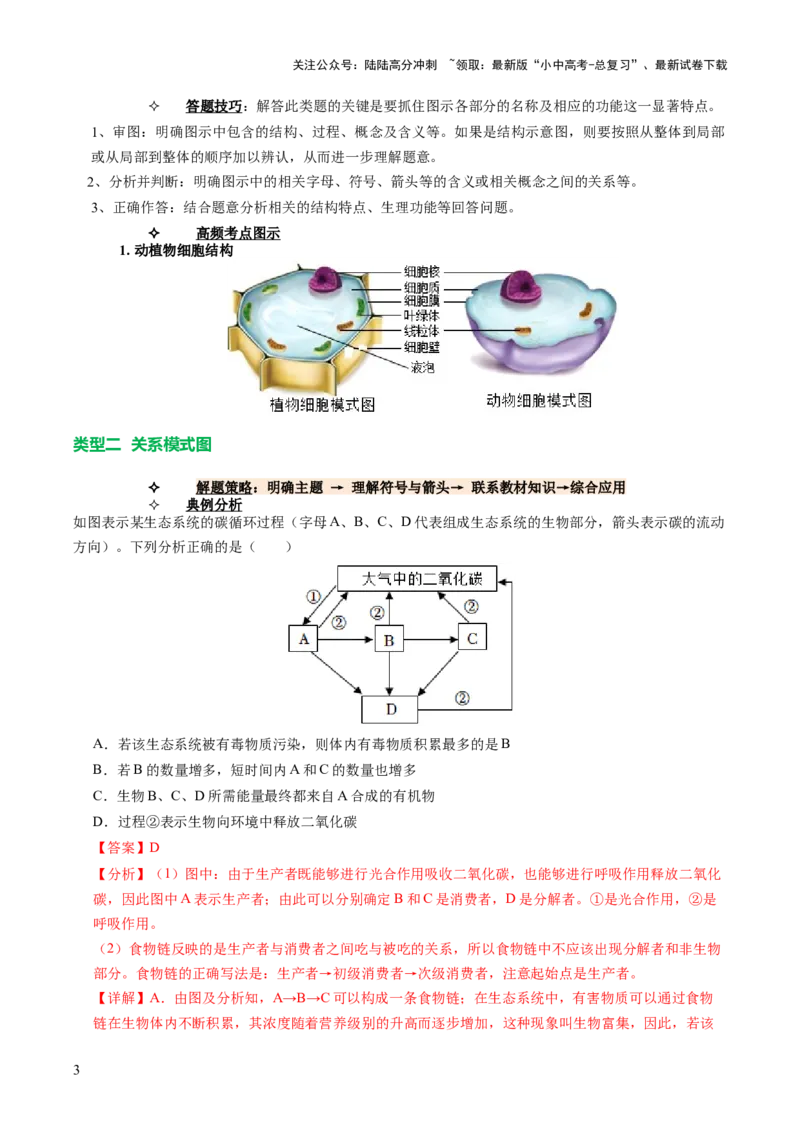 题型01读图理解（讲练）（解析版）_02中考总复习（2026版更新中）_08-生物-中考总复习_2025中考复习资料_2025中考二轮课件ppt+讲义+练习生物_讲义+练习