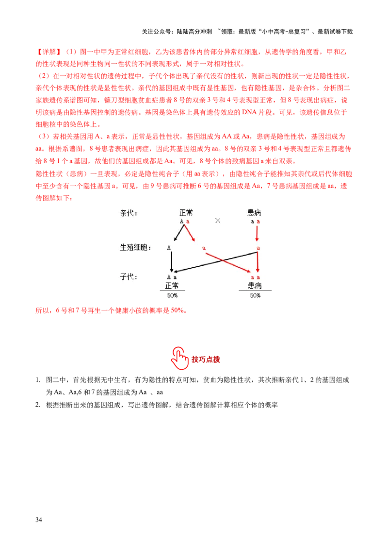 题型01读图理解（讲练）（解析版）_02中考总复习（2026版更新中）_08-生物-中考总复习_2025中考复习资料_2025中考二轮课件ppt+讲义+练习生物_讲义+练习