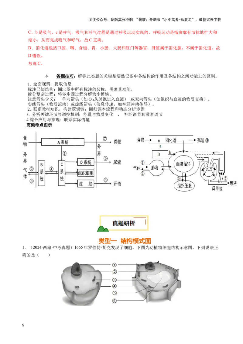 题型01读图理解（讲练）（解析版）_02中考总复习（2026版更新中）_08-生物-中考总复习_2025中考复习资料_2025中考二轮课件ppt+讲义+练习生物_讲义+练习