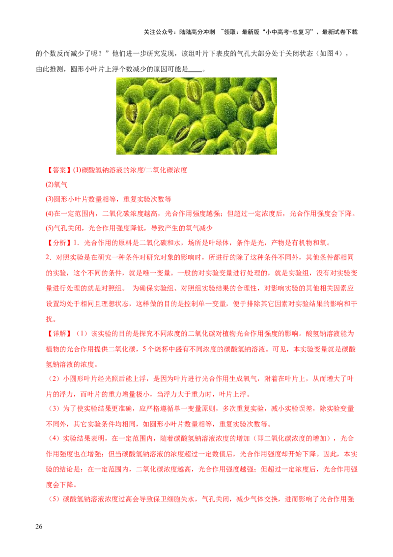 题型03实验探究（测试）（解析版）_02中考总复习（2026版更新中）_08-生物-中考总复习_2025中考复习资料_2025中考二轮课件ppt+讲义+练习生物_测试