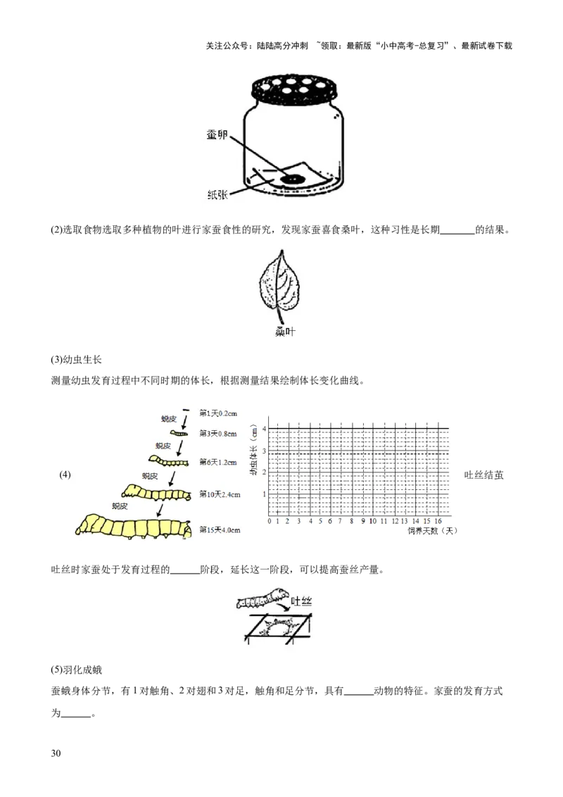 题型03实验探究（测试）（解析版）_02中考总复习（2026版更新中）_08-生物-中考总复习_2025中考复习资料_2025中考二轮课件ppt+讲义+练习生物_测试