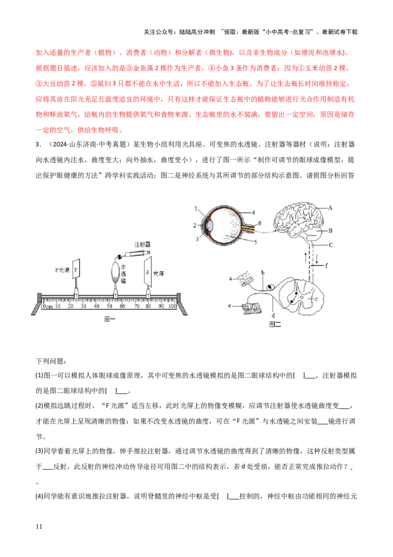 题型05生物学与社会.跨学科实践解题技巧（解析版）_02中考总复习（2026版更新中）_08-生物-中考总复习_2025中考复习资料_2025年中考生物答题方法模板