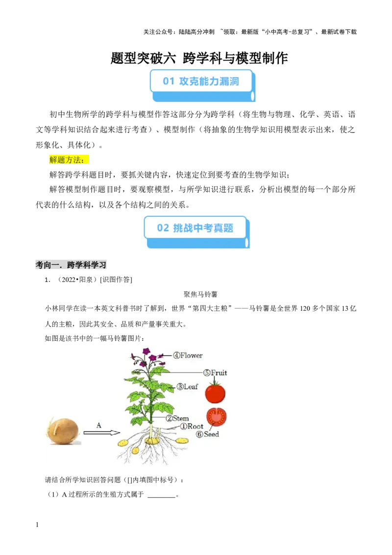 题型突破六跨学科与模型制作（原版卷）_02中考总复习（2026版更新中）_08-生物-中考总复习_2024年中考复习资料_三轮复习_查漏补缺2024年中考生物复习冲刺过关（全国通用）