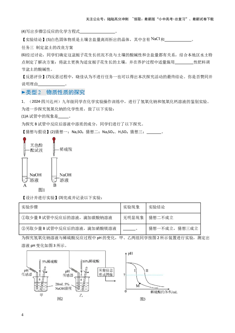 题型06科学探究题（原卷版）_02中考总复习（2026版更新中）_05-化学-中考总复习_2025年中考复习资料_备战2025年中考化学真题题源解密