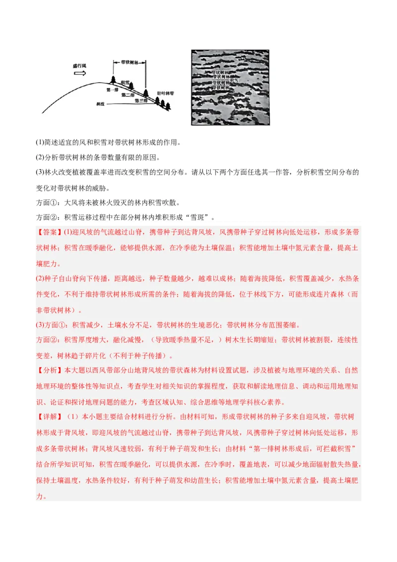 热点专项06林线、雪线-2024年高考地理一轮复习考点通关卷（新高考通用）（解析版）_9.2025地理总复习_2024年新高考资料_1.2024一轮复习_2024年高考地理一轮复习考点通关卷（新高考通用）