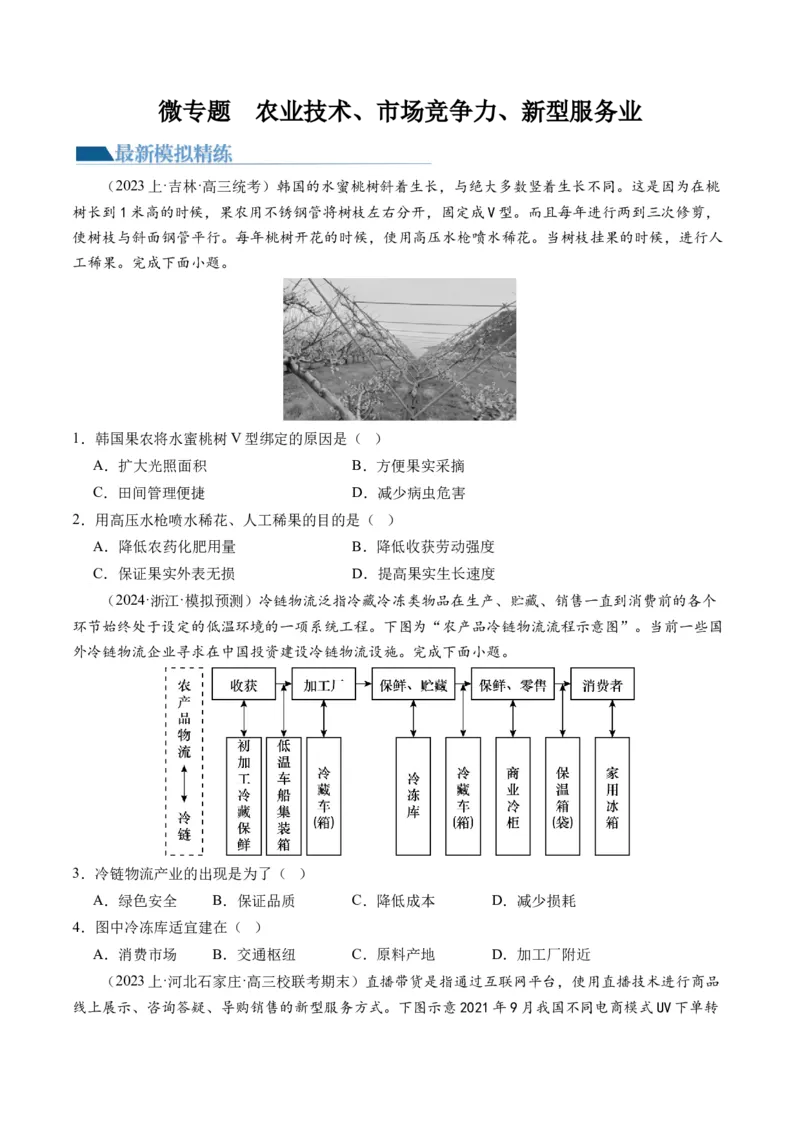微专题农业技术、市场竞争力、新兴服务业（练习）（原卷版）_9.2025地理总复习_2024年新高考资料_2.2024二轮复习_2024年高考地理二轮复习讲练测（新教材新高考）_微专题
