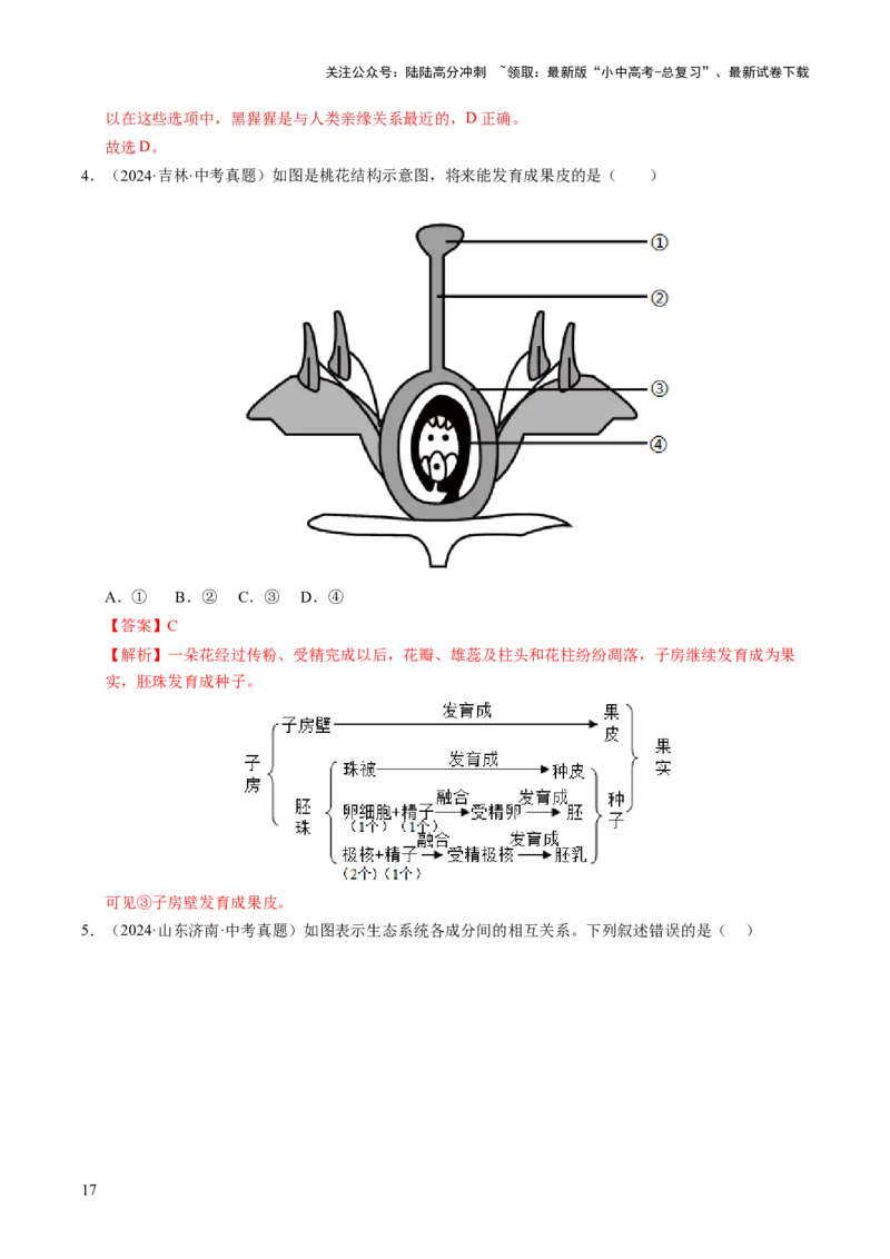 题型技巧与培训（讲练）（解析版）_02中考总复习（2026版更新中）_08-生物-中考总复习_2025中考复习资料_2025中考二轮课件ppt+讲义+练习生物_测试