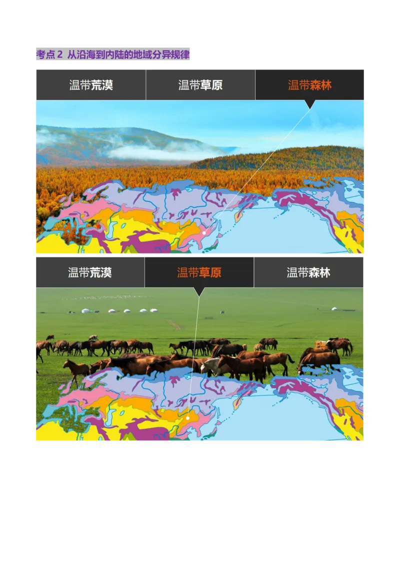 第18讲自然环境的地域差异性（讲义）（解析版）_9.2025地理总复习_2025年新高考资料_一轮复习_2025年高考地理一轮复习讲练测（新教材新高考）