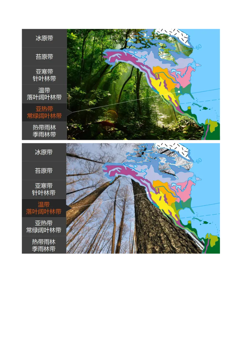 第18讲自然环境的地域差异性（讲义）（解析版）_9.2025地理总复习_2025年新高考资料_一轮复习_2025年高考地理一轮复习讲练测（新教材新高考）