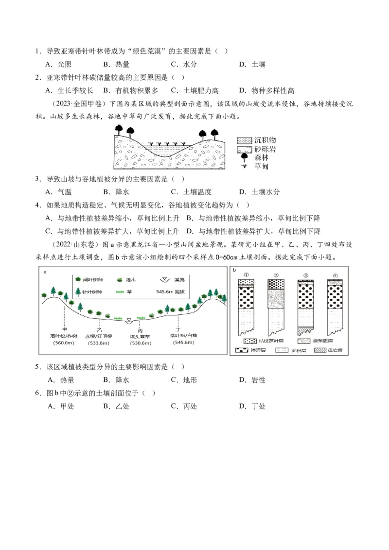 第16讲植被和土壤（讲义）（原卷版）_9.2025地理总复习_2024年新高考资料_1.2024一轮复习_2024年高考地理一轮复习讲练测（新教材新高考）
