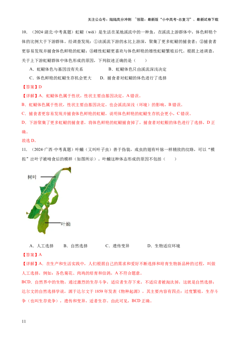 题型01选择题解题技巧（解析版）_02中考总复习（2026版更新中）_08-生物-中考总复习_2025中考复习资料_2025年中考生物答题方法模板_题型01选择题解题技巧-2025年中考生物答题方法模板