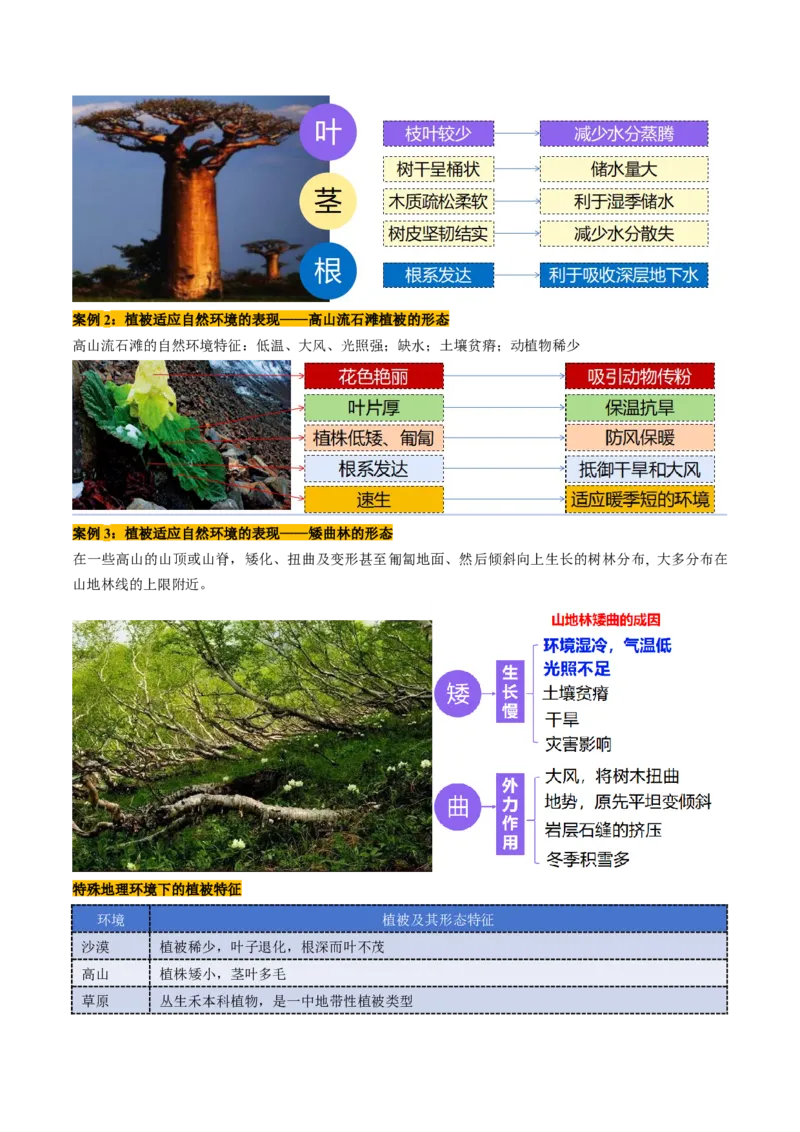 第16讲植被和土壤（讲义）（原卷版）_9.2025地理总复习_2025年新高考资料_一轮复习_2025年高考地理一轮复习讲练测（新教材新高考）