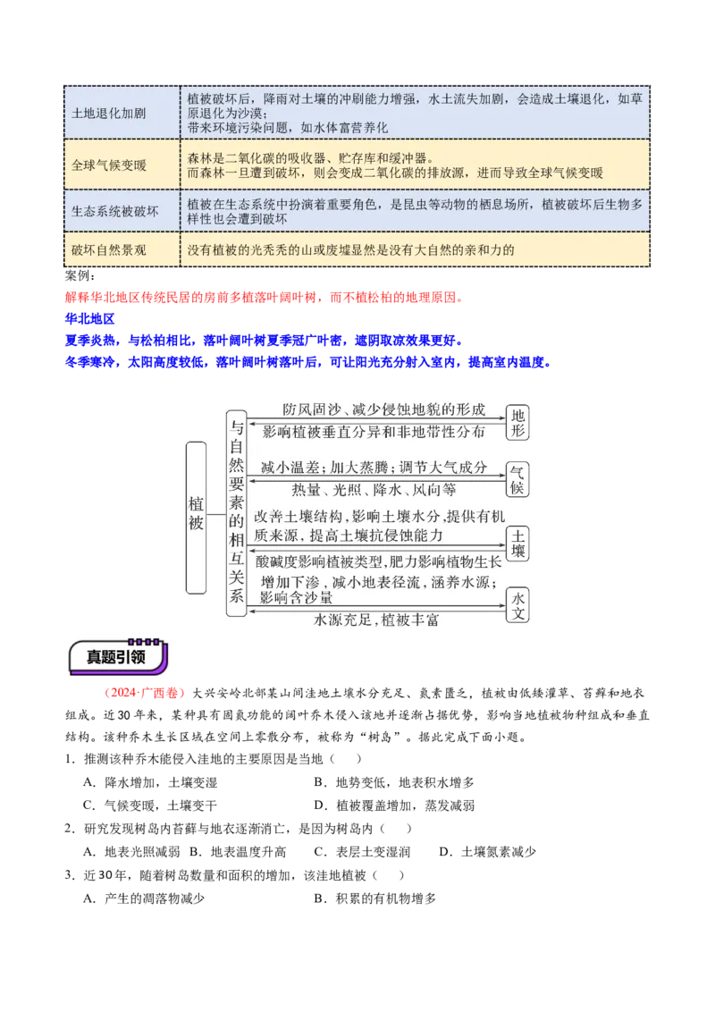 第16讲植被和土壤（讲义）（原卷版）_9.2025地理总复习_2025年新高考资料_一轮复习_2025年高考地理一轮复习讲练测（新教材新高考）