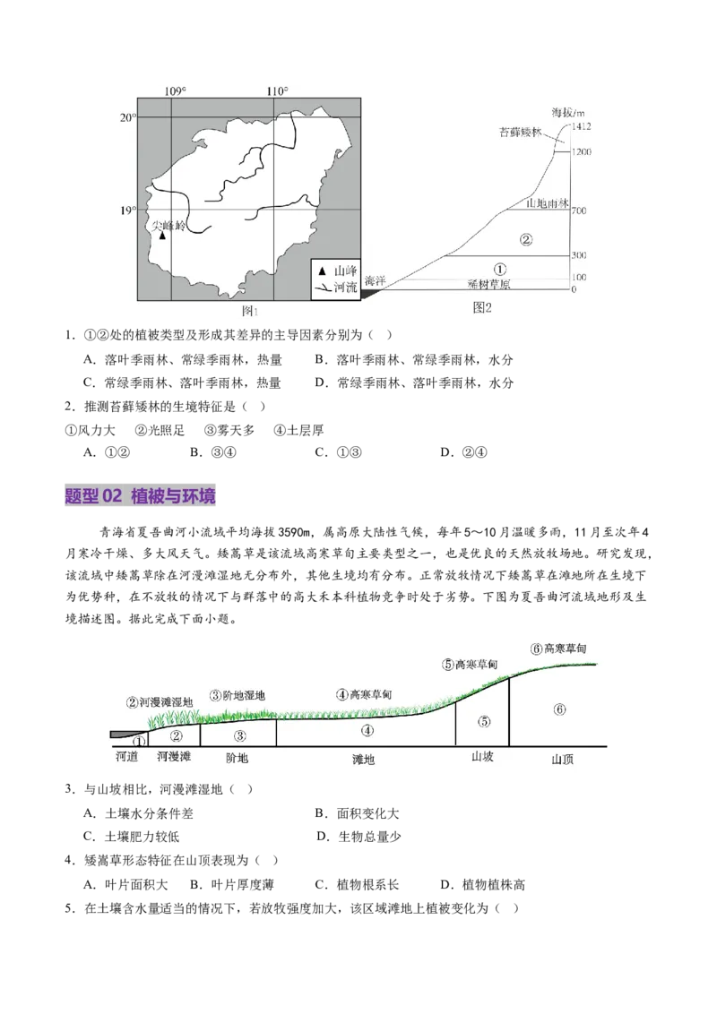 第16讲植被和土壤（讲义）（原卷版）_9.2025地理总复习_2025年新高考资料_一轮复习_2025年高考地理一轮复习讲练测（新教材新高考）