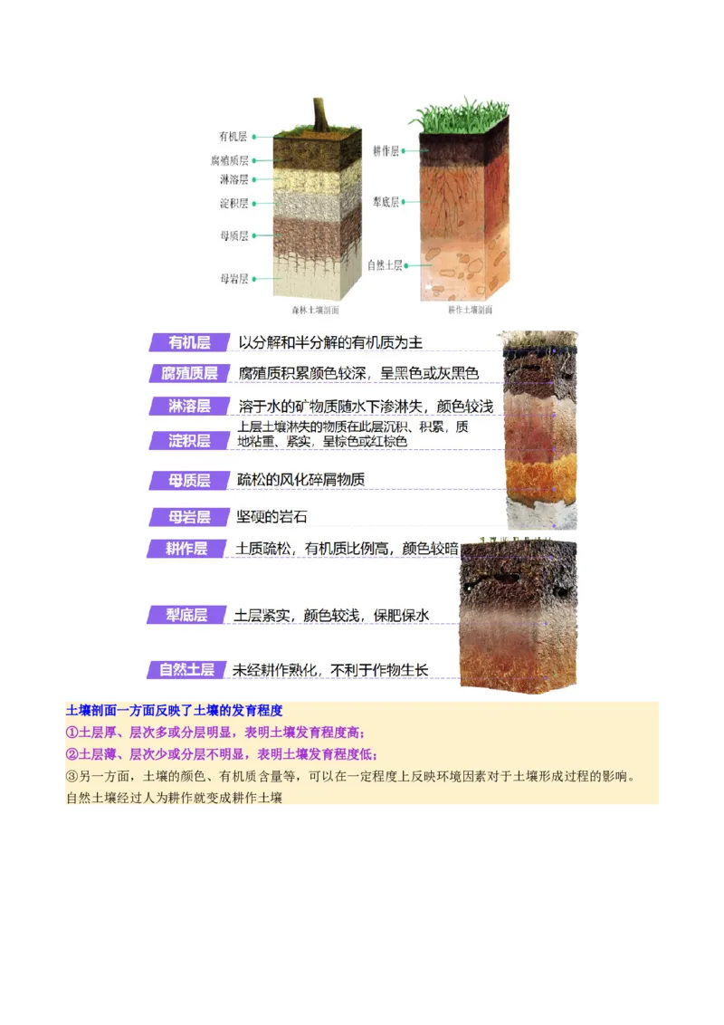 第16讲植被和土壤（讲义）（原卷版）_9.2025地理总复习_2025年新高考资料_一轮复习_2025年高考地理一轮复习讲练测（新教材新高考）