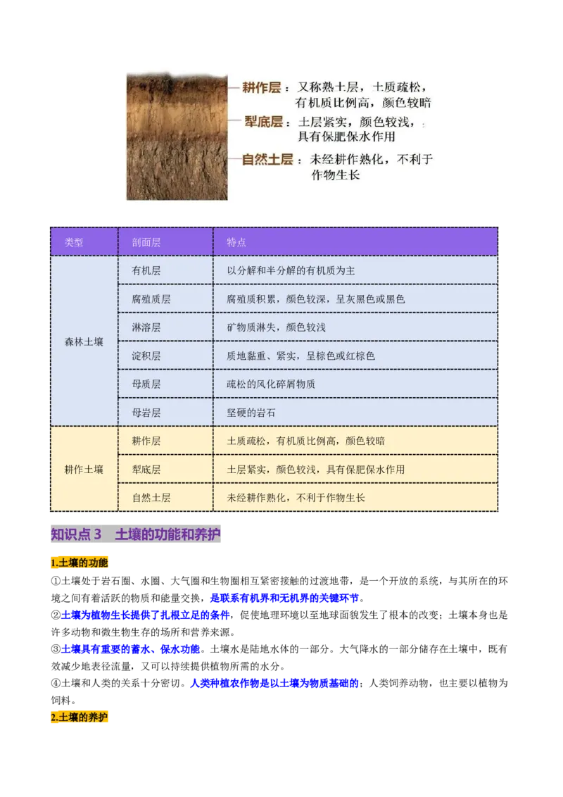 第16讲植被和土壤（讲义）（原卷版）_9.2025地理总复习_2025年新高考资料_一轮复习_2025年高考地理一轮复习讲练测（新教材新高考）