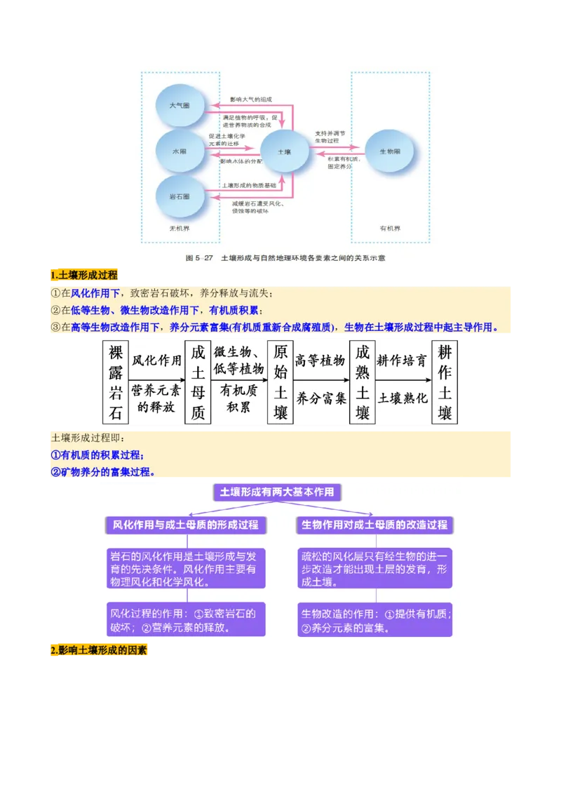 第16讲植被和土壤（讲义）（原卷版）_9.2025地理总复习_2025年新高考资料_一轮复习_2025年高考地理一轮复习讲练测（新教材新高考）